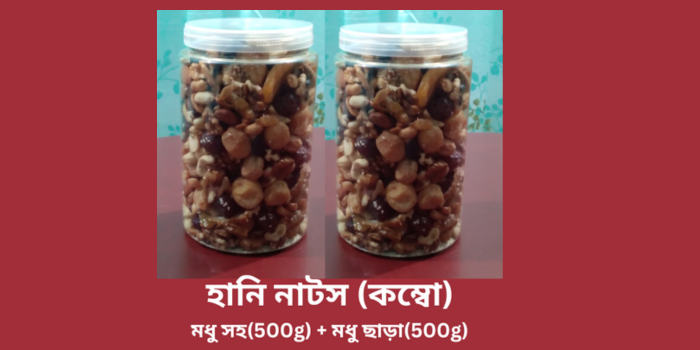 হানি নাটস (কম্বো) |1 Kg